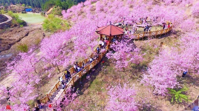 三明目前去哪里玩比较适合,三明现在旅游的最佳地方、景点推荐4417 三明目前去哪里玩比较适合,三明现在旅游的最佳地方、景点推荐4417