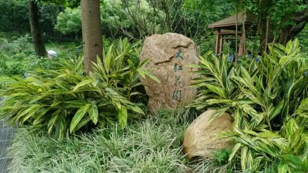 广州龙归附近好玩的地方1333 广州龙归附近好玩的地方1333