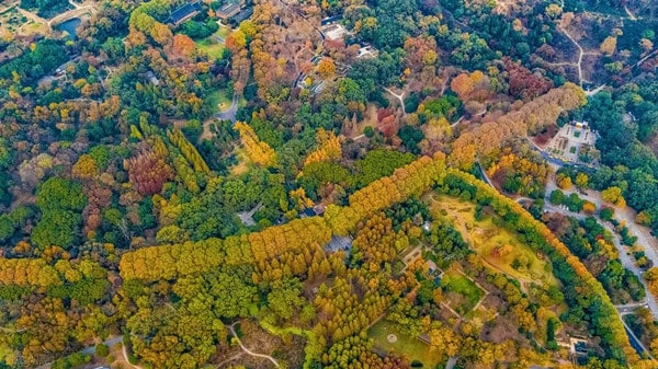 南京10个必去的免费景点,南京自驾游十大免费景点推荐97 南京10个必去的免费景点,南京自驾游十大免费景点推荐97