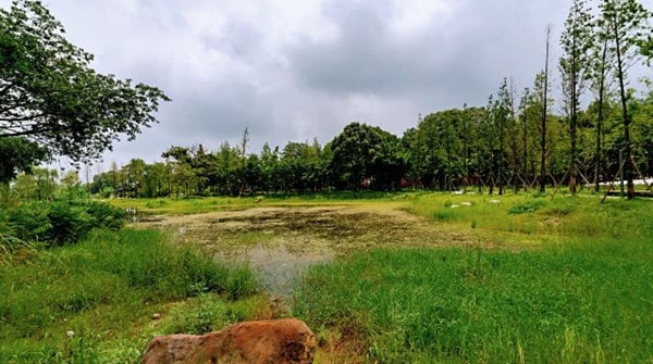 成都新都区有哪些景点推荐,成都新都区旅游十大必去玩的景区8842 成都新都区有哪些景点推荐,成都新都区旅游十大必去玩的景区8842