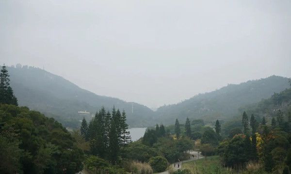 厦门思明区最美的十大公园,厦门思明区公园排行榜哪个最好玩6262 厦门思明区最美的十大公园,厦门思明区公园排行榜哪个最好玩6262