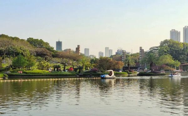 佛山最美的十大公园,佛山公园排行榜哪个最好玩3099 佛山最美的十大公园,佛山公园排行榜哪个最好玩3099