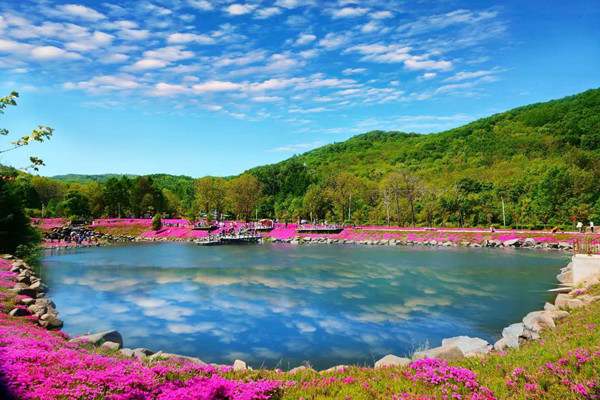 黑龙江双鸭山旅游景点大全2172 黑龙江双鸭山旅游景点大全2172