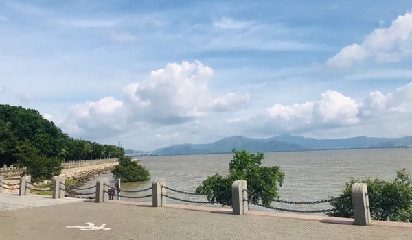 深圳福田区最美的十大公园,深圳福田区公园排行榜哪个最好玩2090 深圳福田区最美的十大公园,深圳福田区公园排行榜哪个最好玩2090