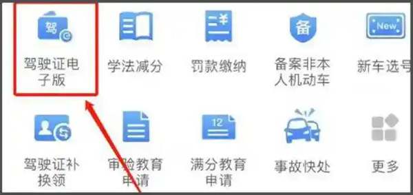 电子驾照哪里打开1157