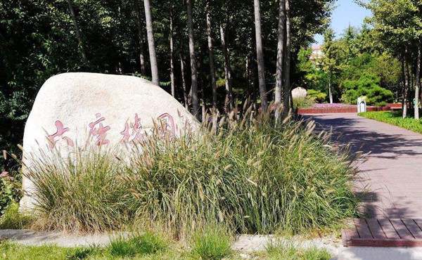 秦皇岛有哪些景区值得旅游9873 秦皇岛有哪些景区值得旅游9873