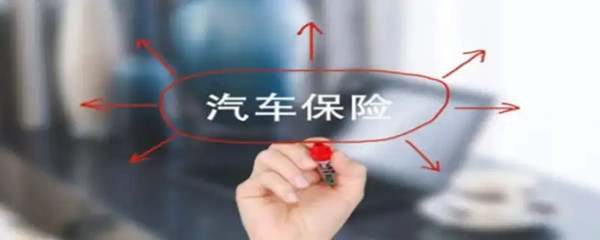 电子保单在12123怎么查8719