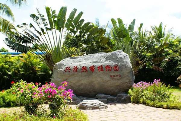 万宁打卡必去的地方,万宁人气最旺必打卡的十大景点9290 万宁打卡必去的地方,万宁人气最旺必打卡的十大景点9290