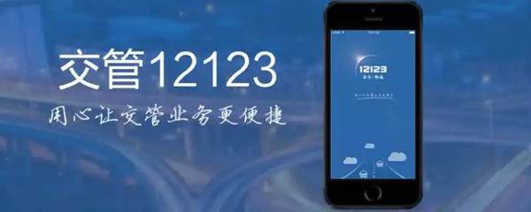 车辆年检标志电子版在哪里查询490