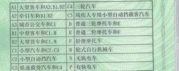 c1照驾驶证能开什么车4004